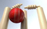 8 cricket ball hitting wickets allan swart
