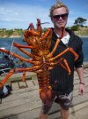 Crayfish {Lobster} - Chatham Islands, NZ..jpg