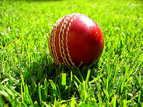 cricket-ball-on-grass.jpg