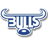 bulls.png