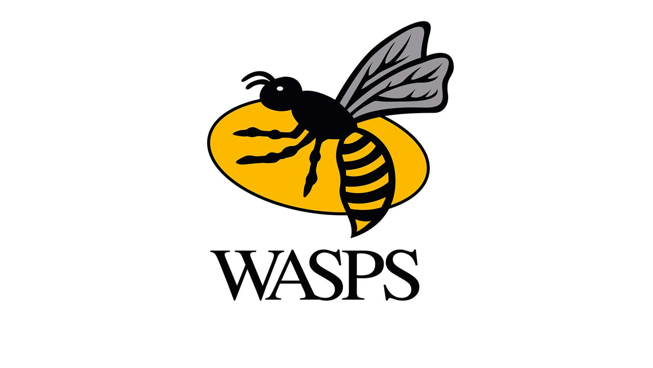 wasps-management-24CADAFE3102B_1280x.jpg
