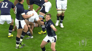 Excited Scotland Rugby GIF by Rugby World Cup