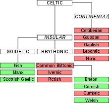 220px-Celtic_language_family_tree.svg.png