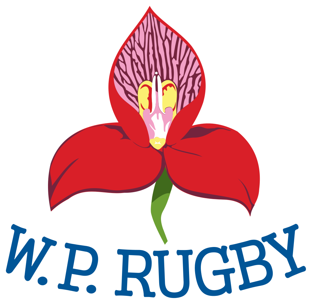 1033px-Logo_Western_Province_Rugby.svg.png