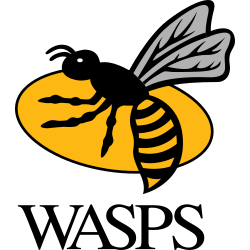 250px-Wasps_rugby.svg.png